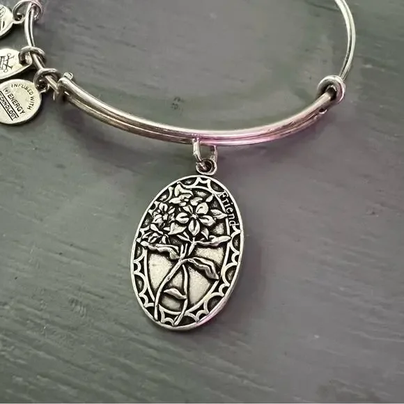 Alex & Ani Friends Silver Tone Bracelet - Picture 2 of 5